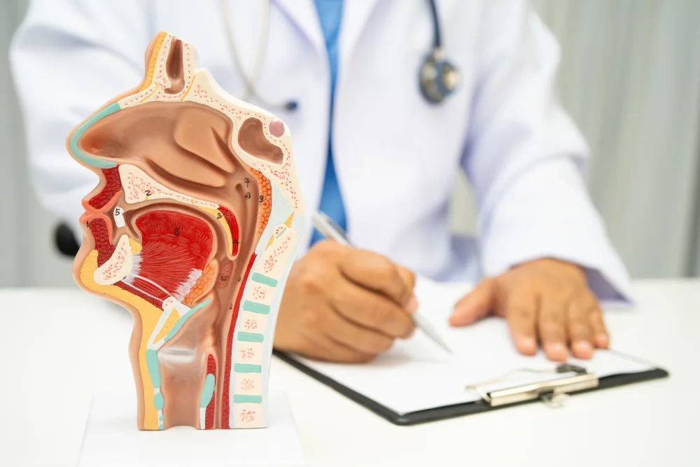 ENT sinus specialist evaluating patient’s sinus problems