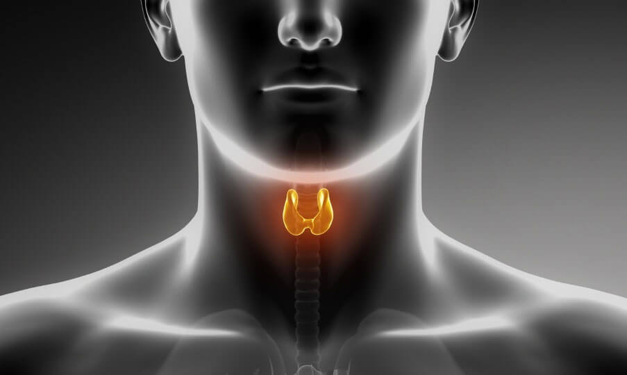 Thyroid Troubles